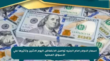 أسعار الدولار أمام الجنيه تواصل الانخفاض اليوم الاثنين وتأثيرها على الأسواق المحلية